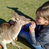 Experienced animal lover