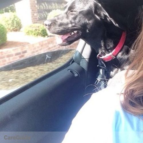Pet Care Job Hannah Jackson's Profile Picture