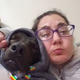 Experienced Dog Walker who will provide personal care for your pets in the comfort of your own home.