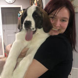 For Hire: Passionate Pet Service Provider in Mentor