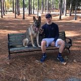Trustworthy Pet Sitter in Wilmington, North Carolina