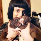 Lake Tahoe Petsitter & Dog-walker