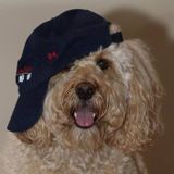 Elgin Pet Care Provider Interviewing For Job Opportunities in Illinois