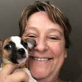 Weston Pet Care Provider Interested In Job Opportunities in Florida