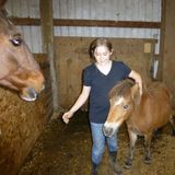 I love animals a little more than the average person