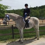 Animal Lover With Years Of Professional Pet Care Experience