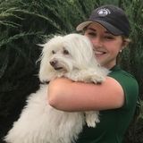 Professional Animal Lover!