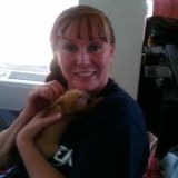 Dedicated Animal Caregiver