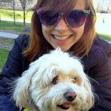 DoggieCare