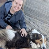 I'm not a pet sitter, I'm your best friend sitter! ;)