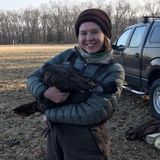 Experienced Animal Caregiver Seeking Opportunities in and around Carmel, NY