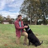 Lincolnton Pet Carer Interviewing For Job Opportunities