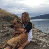 Experienced Pet Sitter With Flexible Availability