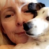 15+ Years Of Experience Caring For Dogs!