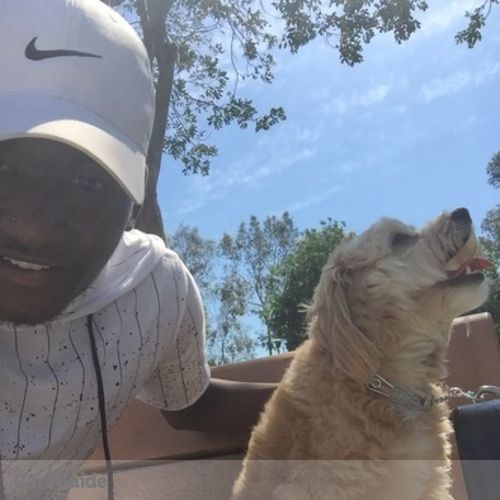 Pet Care Provider Donquez Hill's Profile Picture