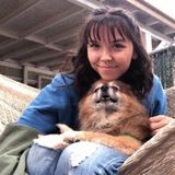 Carson City pet sitter Available For Being Hired