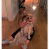 Interested In Pompano Beach Pet Sitter Jobs