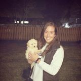 Looking for pet sitting jobs!