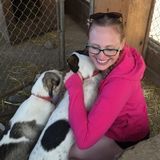 Excellent Pet care Provider Available Today!