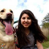 Dog Walker available!