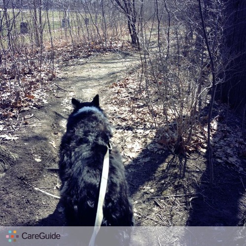 Wagging Happy Professional Dog Walking & Pet Care Fully Bonded & Insured