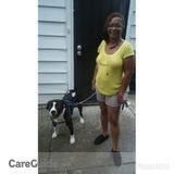 Hello! Im here to relieve you from your pets and Companion Care worries
