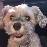 Would Love To Help You Out!