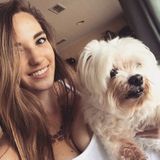 House/Pet sitter available today