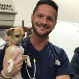 LVT Veterinary Technician- Pet Sitter/Walker