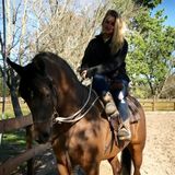 Experienced Dog Sitter in Daytona Beach, Florida
