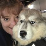 Seeking a Pet Sitter Opportunity in League City