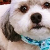 You need me to fulfill your pets needs and wants! They'll be so happy and so will you!