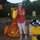 Bridgeport Pet Sitting Professional Interested In Job Opportunities