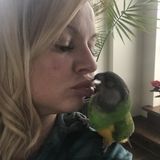 Knowledgeable Dog and Bird Sitter Available Immediately, Overnight care and Dog walking