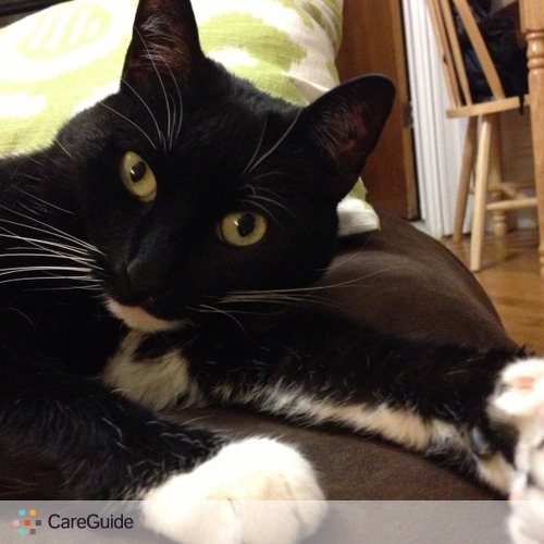 Pet Care Job Erika H's Profile Picture