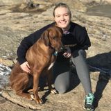 For Hire: Passionate Dog Trainer/Sitter (Future Vet Student) in Cresskill, New Jersey