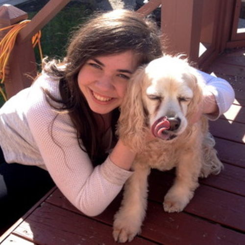Pet Care Provider Laurel C's Profile Picture