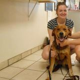 Caring Dog Walker in Felton, Delaware