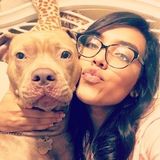 Pet Care Provider Today