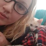 Flexible Pet Sitting Professional for hire!