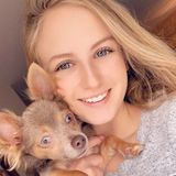 Hi! My name is Evalena. I can pet sit, dog walk, & take overnight care of your animal!