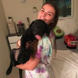 Hello! My name is Brandy Walterhoefer and I am seeking a Pet Sitting Professional Job in College Park or Ellicott City MD.