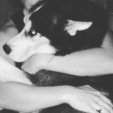 Pet Sitter Wanted in Biloxi, MS