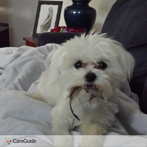 Pet Care Provider Jennifer W's Profile Picture