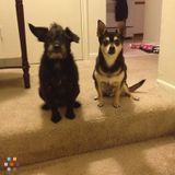 Mo & Peanut Rule!