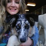 Trustworthy and Experienced Pet Sitter!