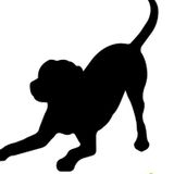 In need of pawsitive and purrfect petsitter
