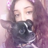 Hello! My name is Jessica Muniz I am a 16 year old with experience and I love animals. Im available for pet sitting,walking.