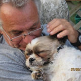 For Hire: Professional Pet Service Provider in Valencia