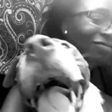 Cedar Hill Cat and Dog Sitter Searching for Job Opportunities in Texas